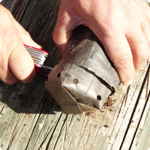 8. If you plant a tree in the middle of the tube  cut off 5cm of the bottom to get rid of horizontal growing roots