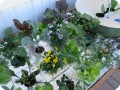 10 Grow different kinds of lettuce with the Waterboxx plant cocoon in a water saving way