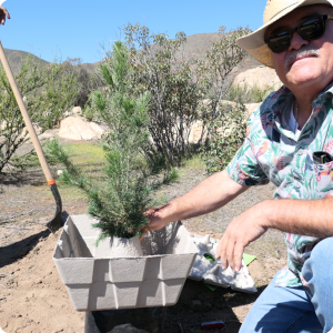 9 Ready to put Growboxx with tree in the planting hole