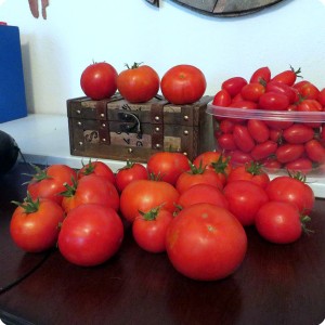 13. 20170727 All this harvest is from the same day from two plants that have been growing in the Waterboxx plant cocoon. 20 Big Beef tomatoes and 100 Juliet s  in the container 