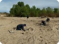 15 A panoramic view of the Growboxx plant cocoon plantation in Mexico