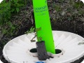 17. 20180410 A Waterboxx  Growsafe and a sapling  ready to be planted in Hato Vito