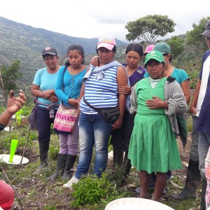 18. 20180410 Jason  representative of Groasis  is explaining the people of Hato Vito how to plant