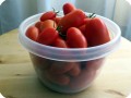 19. 20171212 On this day  Bill picked 52 ripe Juliet tomatoes  685 grams . They have ripened nicely on the plant even with temperatures between 30 and 40 F  around 0C 