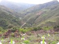 19. 20180410 The Waterboxxes have been planted with productive trees  fruit trees  to produce more food for local communities