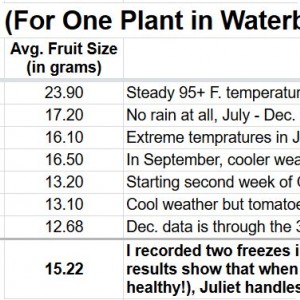 21. The results of the Juliet plant through June   December 2017