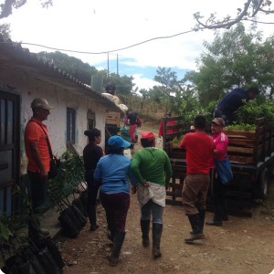 7. 20180219 People from Tarabita 2 are receiving trees and the Waterboxx plant cocoons for the WFP Innovation Accelerator project