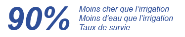 FR 90 avantages triple de la technologie deconomie deau ecologique Groasis economiser leau tout en plantant des arbres en combinaison avec des arbustes des plantes a massif plantes fleurs legumes