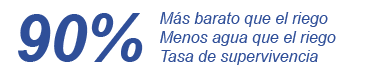 SP 90 triples beneficios de la tecnologia de ahorro de agua Groasis ecologica ahorrar agua mientras que la plantacion de arboles en combinacion con arbustos plantas de lecho plantas flores hortalizas