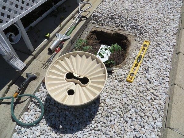 The Groasis Waterboxx with the two young tomato plants ready for planting