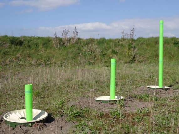 Bescherm je boom tegen dieren met de Growsafe Telescoprotexx plantenbeschermer van Groasis