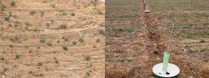 Terraces in Peru that have been abandoned and the terraces made by Groasis for better water infiltration in the soil in rainfall