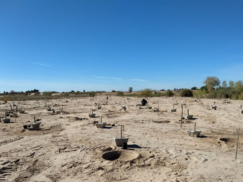 Growboxx plant cocoon plantation at Mexicali Mexico for Pronatura and SPA