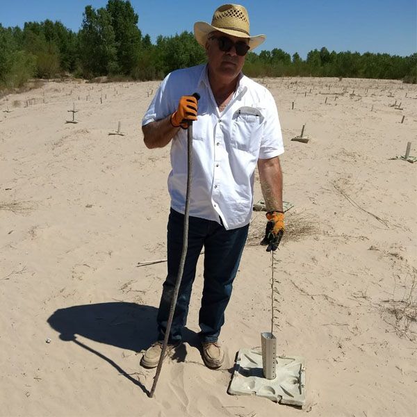 Project manager Ing. Jose Gastellum of Groasis distributor Legado Verde Mexico checks the quality of the Mezquite var. Prosopis glandulosa in Mexicali Mexico