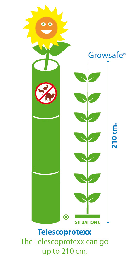 De plantenbeschermer van Groasis Growsafe Telescoprotexx kan maximaal 2.10 meter hoog worden en beschermt je boom of plant tegen dieren en de zon