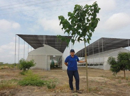 Je kan bomen planten in droge gebieden, geërodeerde gebieden, op stenen en in woestijnen met de Groasis Ecologische Waterbesparende Technologie