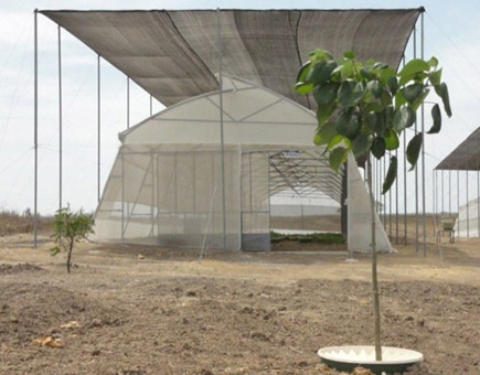 Planting trees in Ecuador - despite the hot weather, intense sun and dry climate it is possible with the Waterboxx plant cocoon