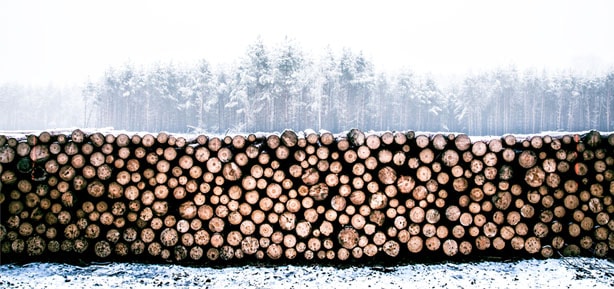 A madeira pode ser usada para muitas finalidades: cozinhar, aquecer a casa ou fazer móveis