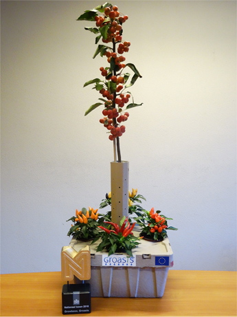 planting trees, vegetables and bushes with a box made from paper pulp 