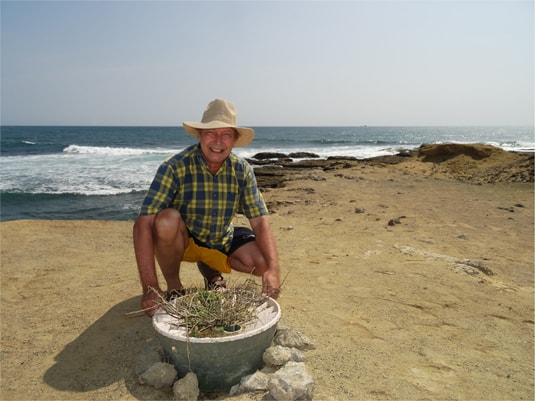 Planting trees near the sea - Pieter Hoff with Algarrobo tree on most difficult place of Earth Chocolatera cliff in Ecuador