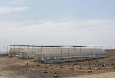 The Groasis Climate Control House. This greenhouse has two shades lying on each other for a faster growth for the plants