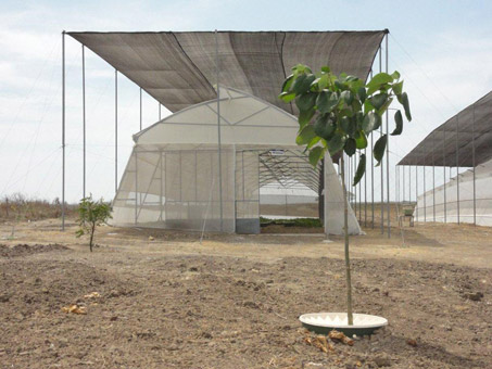 Le devant de la maison de contrôle climatique de Groasis. Les nuances sont plus larges que la serre elle-même et fournissent aux plantes un air plus frais pendant la journée