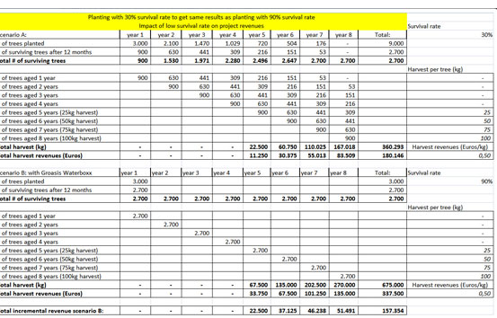 El tabel muestra diferentes escenarios en varios años con las tasas de supervivencia de las plantas que se plantan con y sin el Groasis Waterboxx