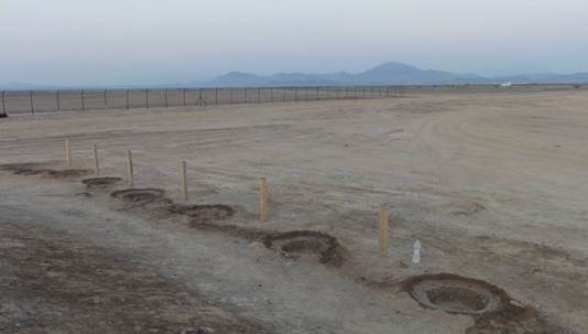 Fill each planting hole with 30 litres of water (7 gallons) the night before planting