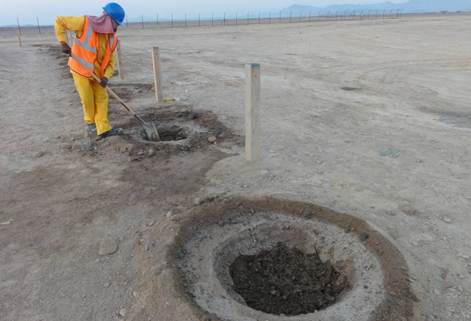 The morning after we open the top of the soil to let oxygen enter