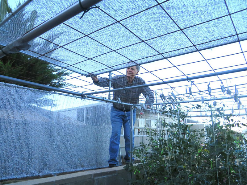 16. Mr Bill McNeese putting on the shade cloth