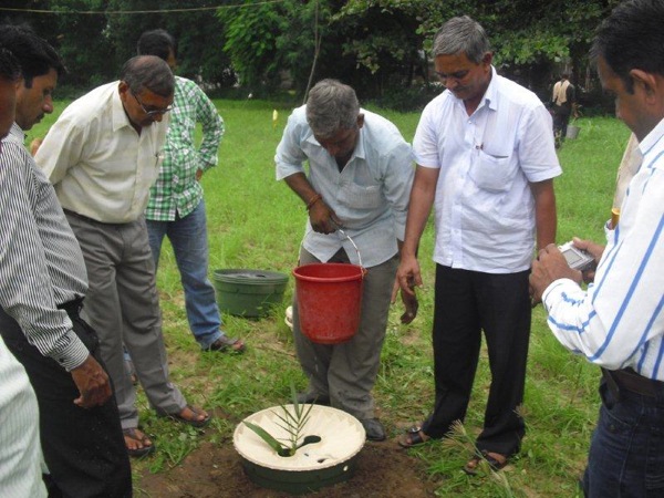 The BAIF research team give water to the plant with the Groasis Technology in one year 50 liters only, September 2011.