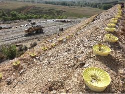 44 RioFrio Spain slate mine restoration. with biodegradable Waterboxx Every 5 minutes a giant truck passes loaded with rocks